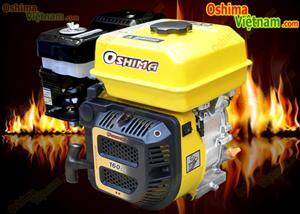 Máy Nổ Xăng Oshima Gold OSG60 6.5HP