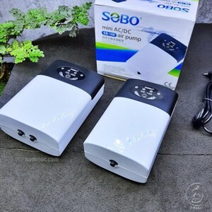 Máy oxy sạc điện 1 vòi Sobo SB 168
