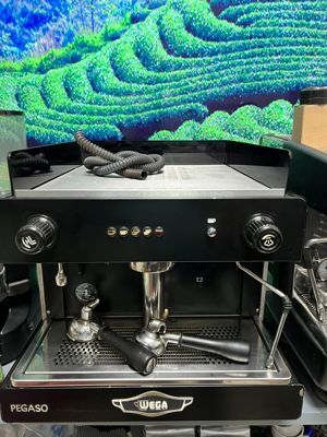 Máy pha cà phê Wega Pegaso 1 Group