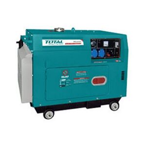 Máy phát điện động cơ dầu Total TP250003
