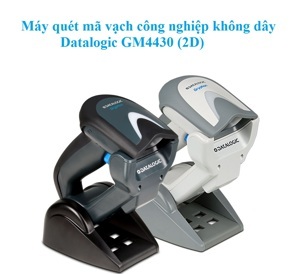 Máy quét mã vạch Datalogic Gryphon I GM4430