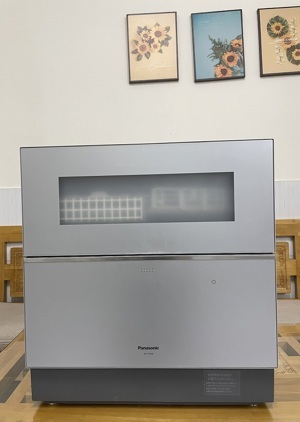 Máy rửa bát Panasonic NP-TZ300