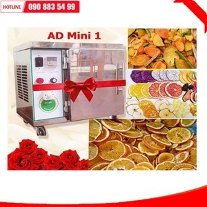 Máy sấy gia đình ánh dương AD Mini 1