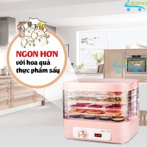 Máy sấy hoa quả thịt thực phẩm 5 tầng Torsom F-01J