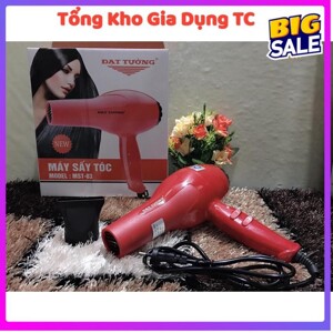 Máy sấy tóc Delites MST03