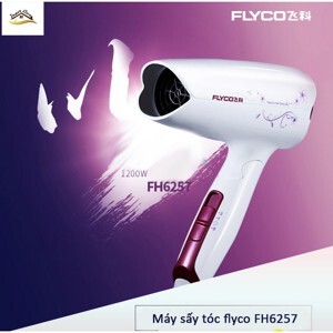 Máy sấy tóc tạo kiểu Flyco FH6257