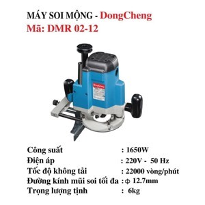 Máy soi cao Dongcheng DMR02-12