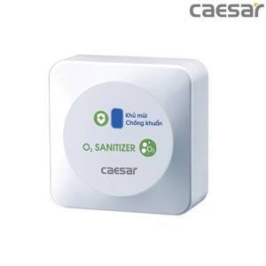 Máy tạo ozon sát khuẩn Caesar A610OZ