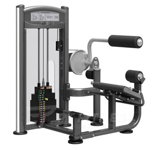 Máy tập sống lưng Impulse IT9332