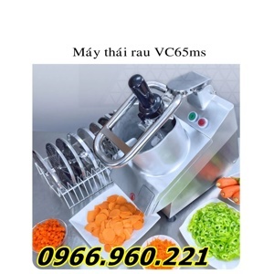 Máy thái rau củ quả​ VC65MS