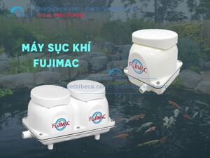Máy thổi khí Fujimac MAC120R 91W