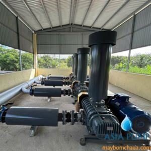 Máy thổi khí Longtech LT-125 30HP