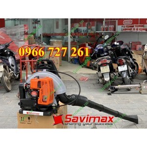 Máy Thổi Lá Dinyi EB650