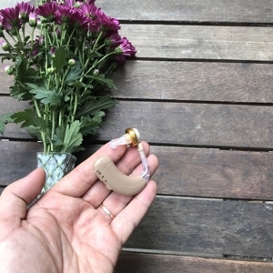 Máy trợ thính Axon C109