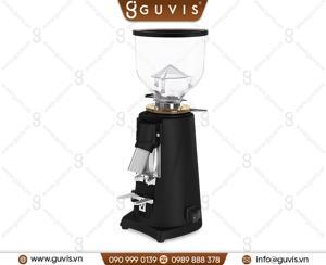 Máy xay cà phê Fiorenzato F4 Eco