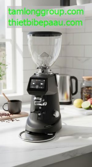 Máy xay cà phê Fiorenzato F64