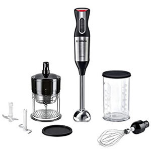 Máy xay cầm tay Bosch MS6CM6166