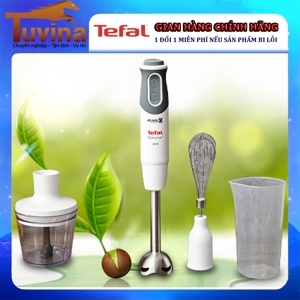 Máy xay cầm tay Tefal HB643138