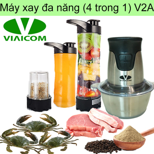 Máy xay đa năng Viaicom V2A