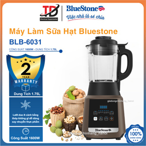 Máy xay nấu đa năng Bluestone BLB-6031