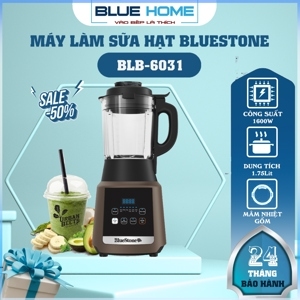 Máy xay nấu đa năng Bluestone BLB-6031