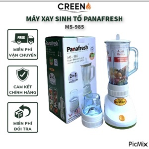 Máy xay sinh tố 2 ly nhựa Panafresh MS-985