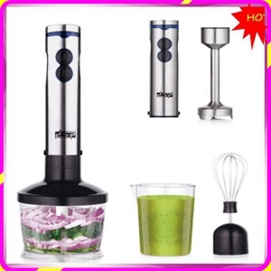 Máy xay sinh tố cầm tay 4 trong 1 DSP KM1040