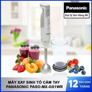 Máy xay sinh tố cầm tay Panasonic PASO-MX-GS1WR