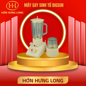 Máy xay sinh tố đa năng Bigsun BB-299N, 350W