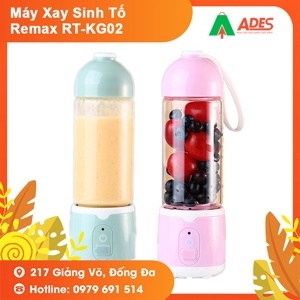 Máy xay sinh tố đa năng Remax RT-KG02