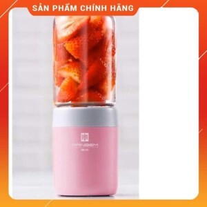 Máy xay sinh tố hoa quả cầm tay Ranbem 828B
