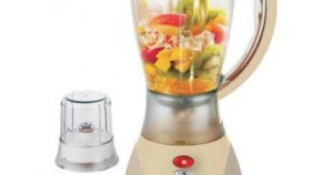 Máy xay sinh tố Kangaroo KG315 (KG-315) - 350W
