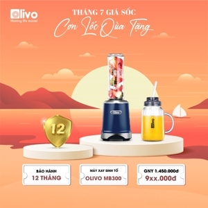 Máy xay sinh tố Olivo MB300