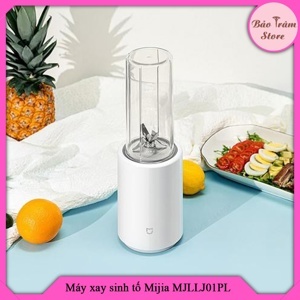 Máy xay sinh tố Pinlo YM-B05