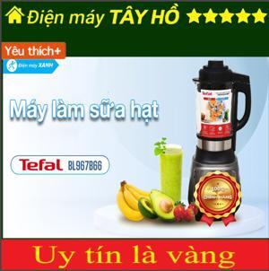 Máy xay sinh tố Tefal BL967B66