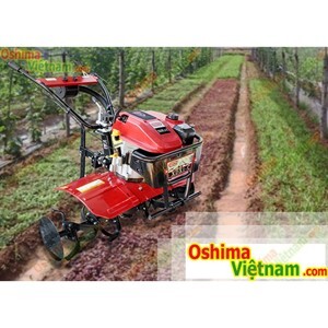 Máy xới đất OSHIMA XD1