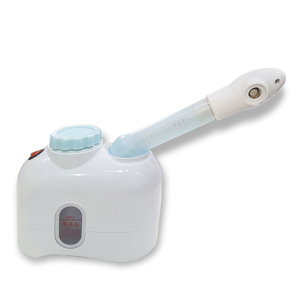 Máy xông hơi mặt mini DT-33