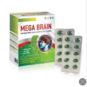 Thực phẩm chức năng Mega Brain