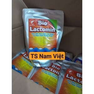 Men tiêu hóa Bio Lactomin, Hộp 20 gói x 3g