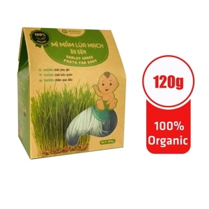 Mì mầm lúa mạch Anpaso Organic gói 120g