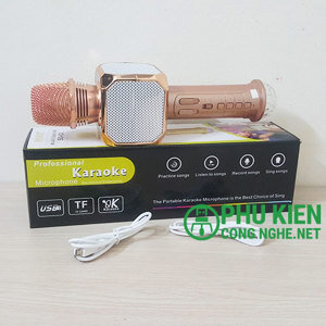 Mic Karaoke Bluetooth SD 10L