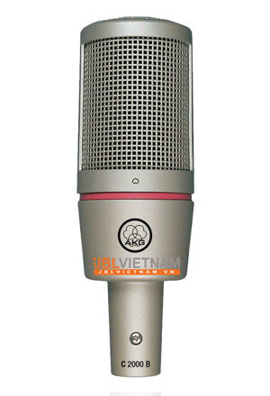 Micro AKG C 2000 B (C2000B)