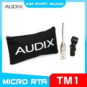 Micro Audix TM1