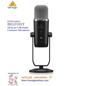 Micro Behringer BigFoot