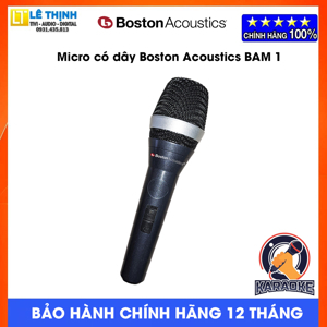 Micro Boston Acoustics BAM 1