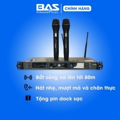 Micro DBacoustic M800D
