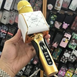 Micro Karaoke Bluetooth kèm loa KD-08S