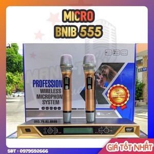 Micro karaoke BNIB 555