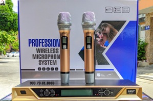 Micro karaoke BNIB 555