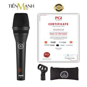 Micro karaoke có dây AKG P5I